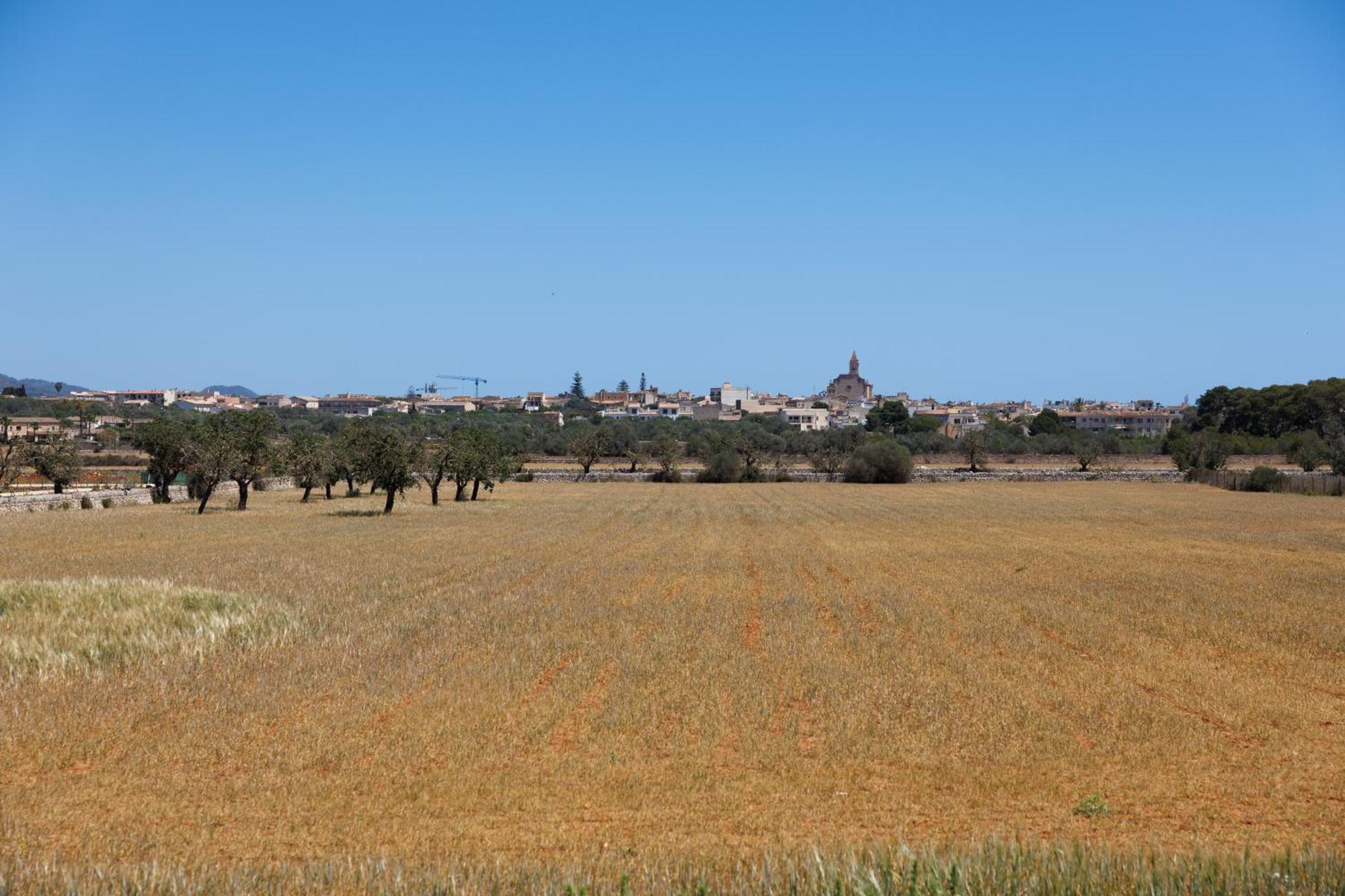 Finca Sa Sort Сантаньи Экстерьер фото